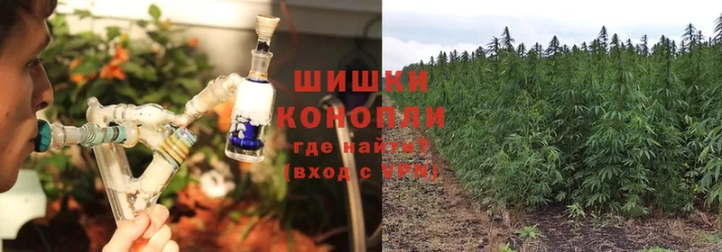 OMG   Обнинск  Бошки марихуана индика  магазин продажи наркотиков 